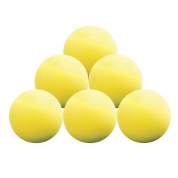 Balles Entrainement Longridge x6