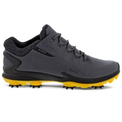Chaussure Ecco Biom G3 Gore-Tex Gris Fonce