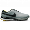 Chaussure Nike Air Zoom Victory Tour 2 Gris