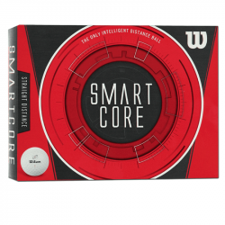 Balles Wilson Smart Core x12