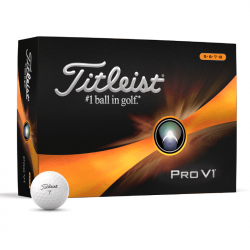 Balles Titleist ProV1 High Number 2023 x12