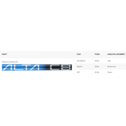 Shaft Bois de Parcours Ping G440 LST