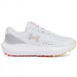 Chaussure Enfant Under Armour Surge Gris