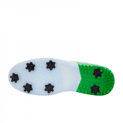 Prix Chaussure Jordan Golf NU Retro 1 G Blanc/Noir/Vert
