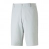 Bermuda Puma Dealer Gris