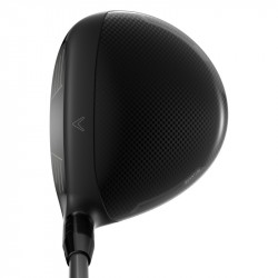 Prix Bois de Parcours Callaway Quantum Max D