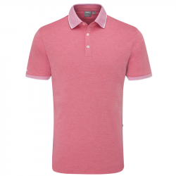 Polo Ping Rhapsody Rose