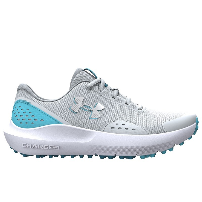 Chaussure Enfant Under Armour Surge Gris/Bleu