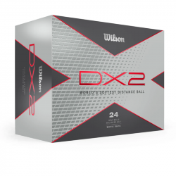 Balles Wilson DX2 x24