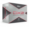 Balles Wilson DX2 x24