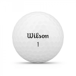 Achat Balles Wilson DX2 x24