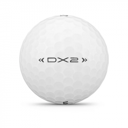 Prix Balles Wilson DX2 x24